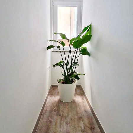 Ljubljana Central Cozy Apartment W Free Parking Exterior photo