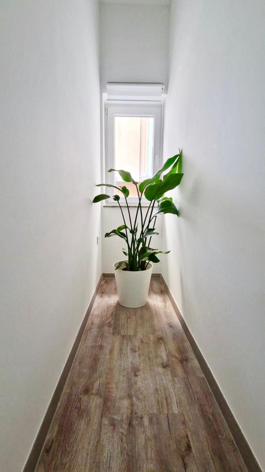 Ljubljana Central Cozy Apartment W Free Parking Exterior photo